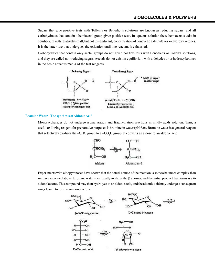 Biomolecules & Polymers Carbohydrates - Page 7