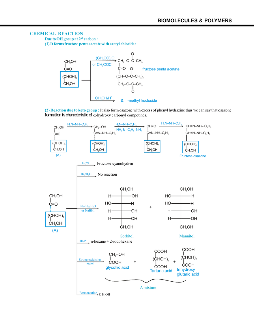 Biomolecules & Polymers Carbohydrates - Page 20