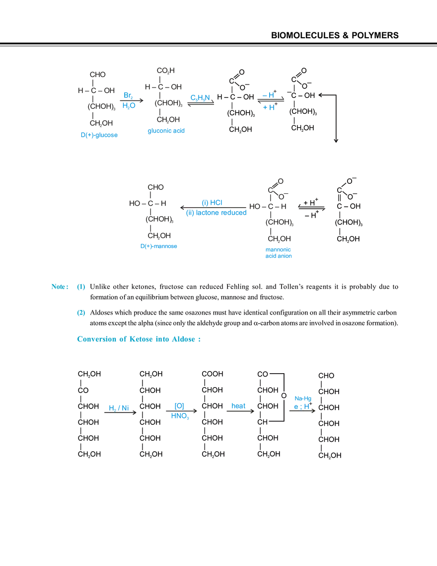 Biomolecules & Polymers Carbohydrates - Page 22