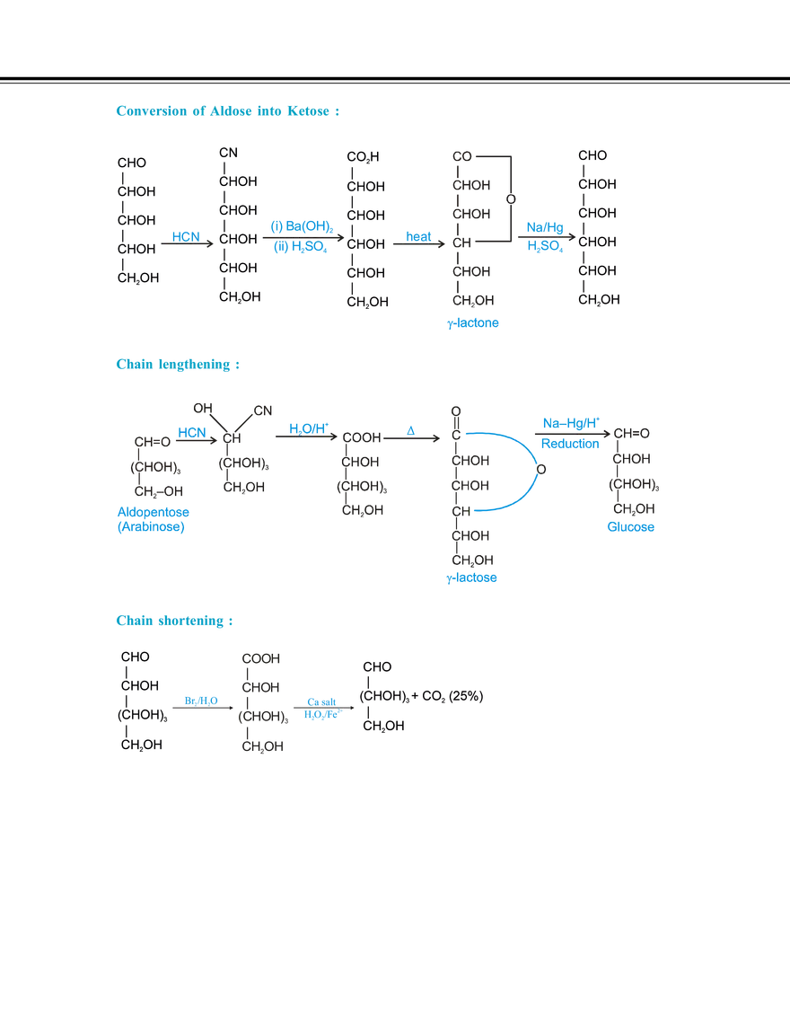 Biomolecules & Polymers Carbohydrates - Page 23