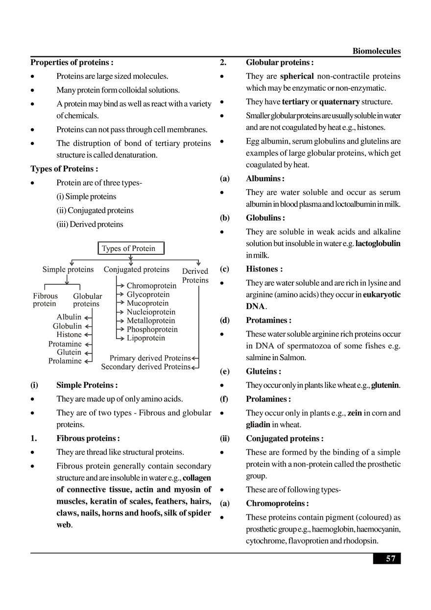Biomolecules Notes - Page 7
