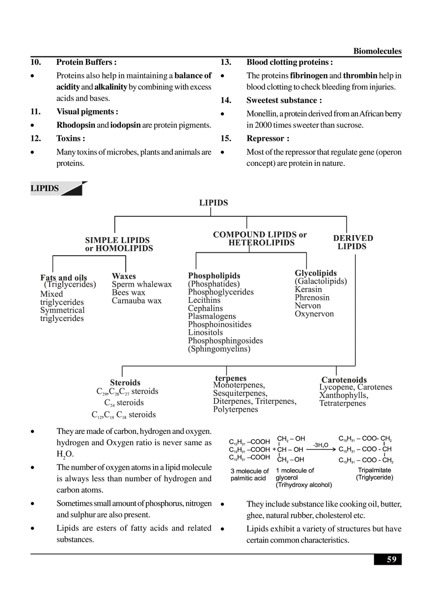 Biomolecules Notes - Page 9