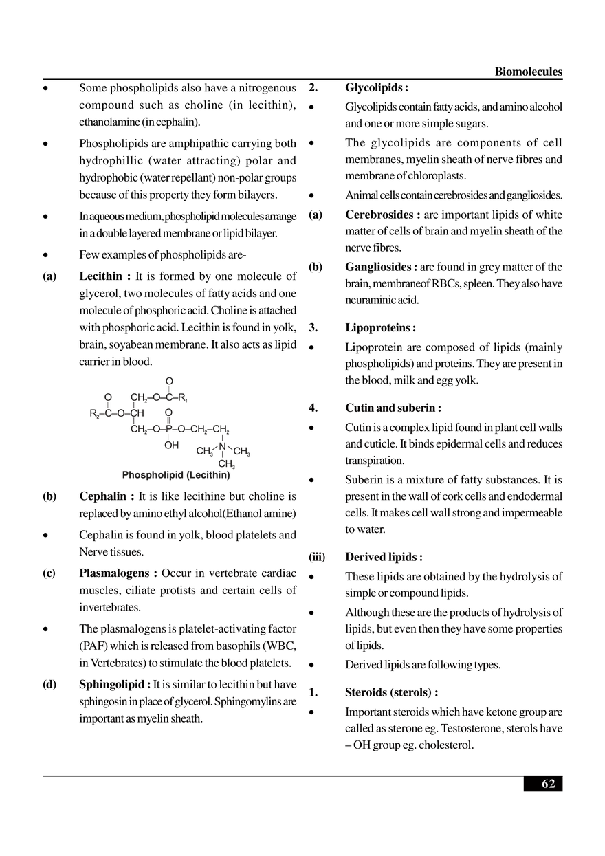 Biomolecules Notes - Page 12