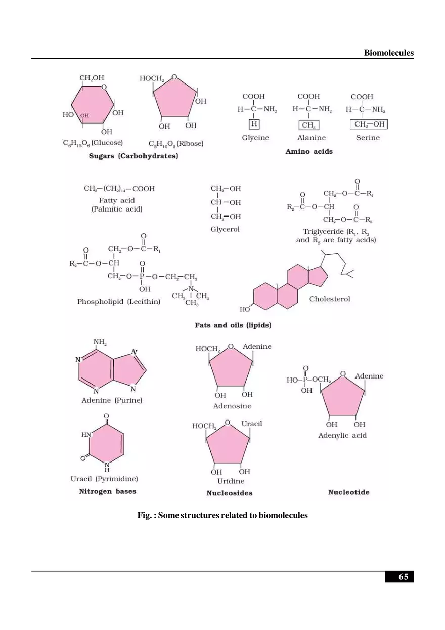Biomolecules Notes - Page 16