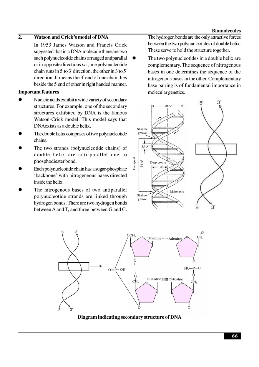 Biomolecules Notes - Page 17
