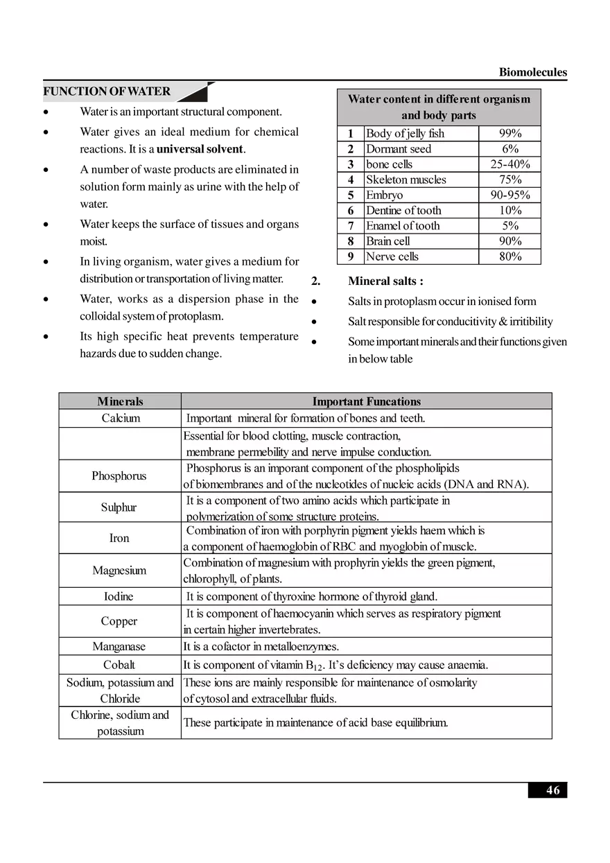 Biomolecules Notes - Page 24