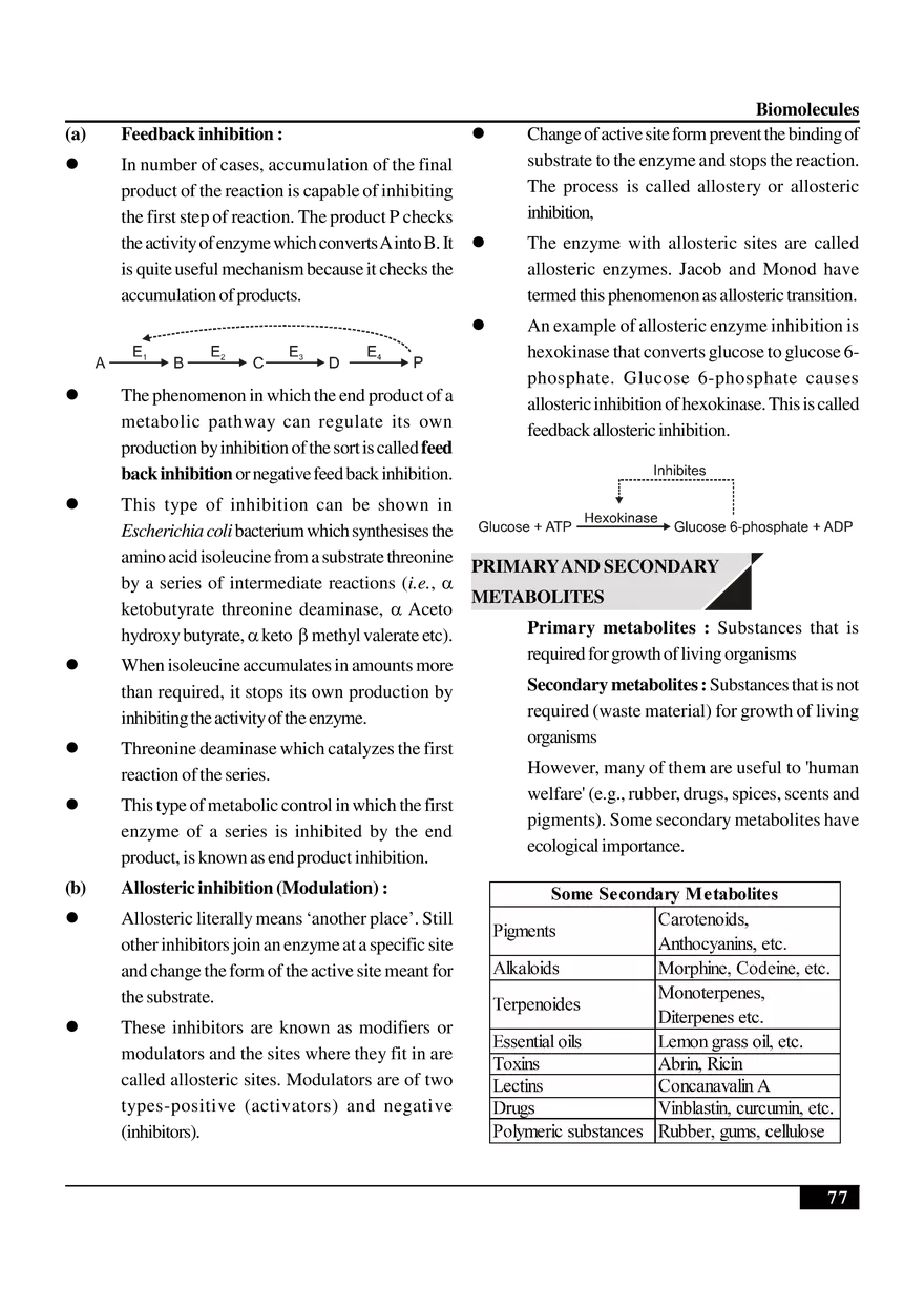 Biomolecules Notes - Page 29
