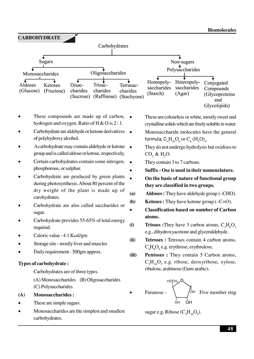 Biomolecules Notes - Page 32