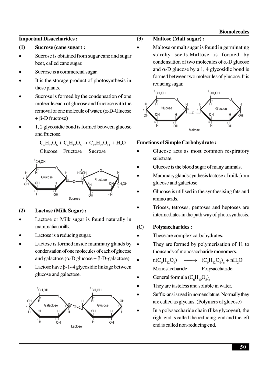Biomolecules Notes - Page 34