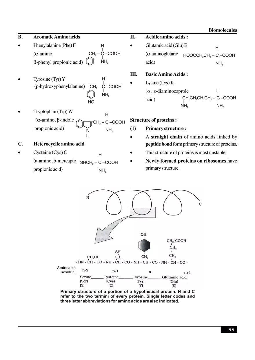 Biomolecules Notes - Page 5