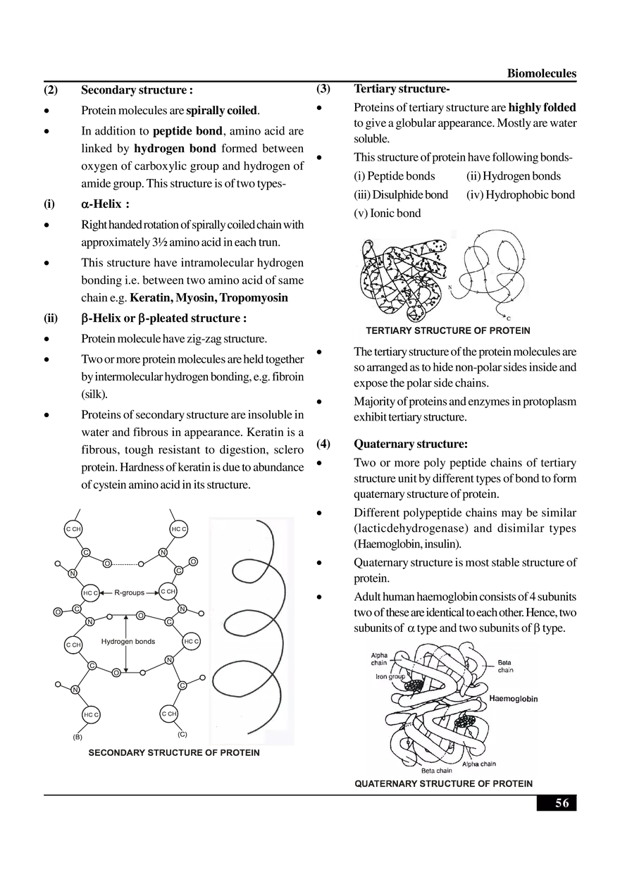 Biomolecules Notes - Page 6