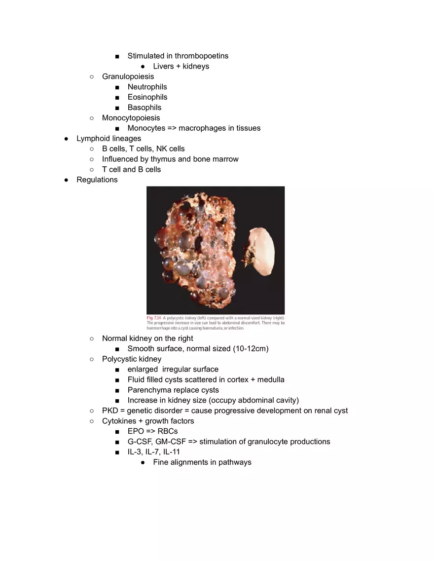 Hematopoiesis - Page 2