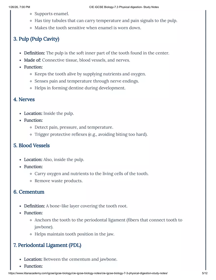 CIE IGCSE Biology-7.3 Physical Digestion Study Notes - Page 7