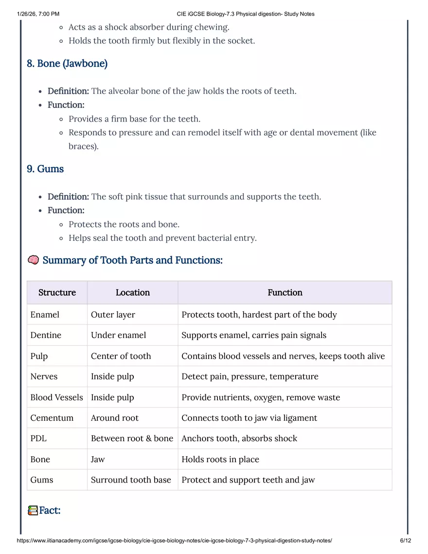 CIE IGCSE Biology-7.3 Physical Digestion Study Notes - Page 8
