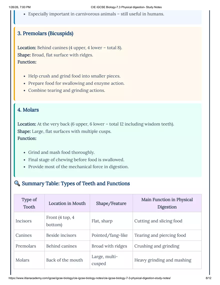 CIE IGCSE Biology-7.3 Physical Digestion Study Notes - Page 10