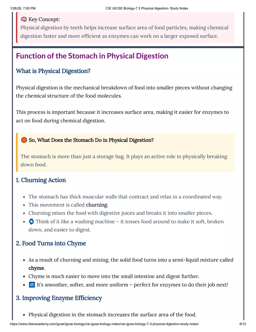 CIE IGCSE Biology-7.3 Physical Digestion Study Notes - Page 11