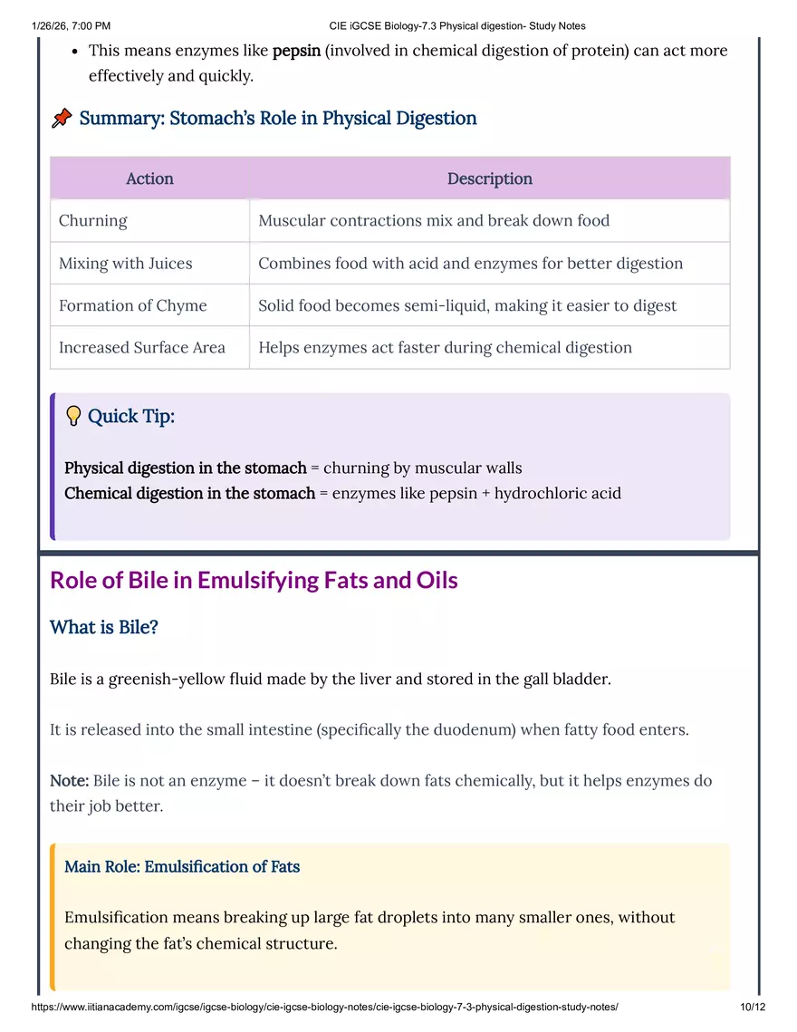 CIE IGCSE Biology-7.3 Physical Digestion Study Notes - Page 12