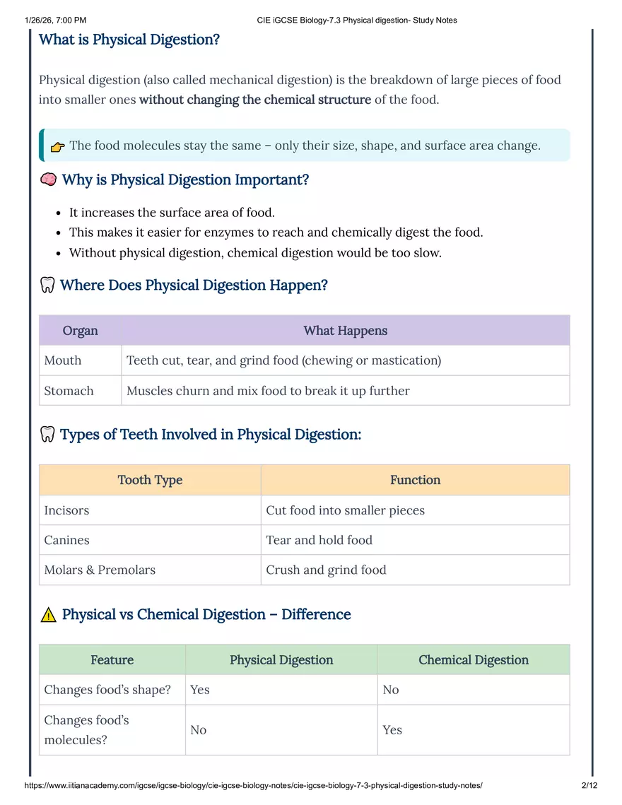 CIE IGCSE Biology-7.3 Physical Digestion Study Notes - Page 2