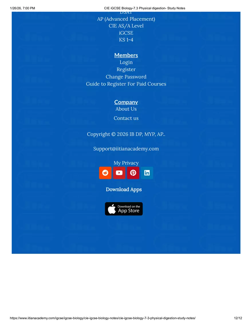 CIE IGCSE Biology-7.3 Physical Digestion Study Notes - Page 4