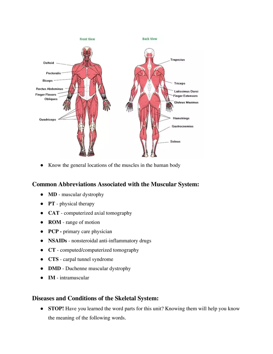 Medical Terminology Unit 3 Muscular System - Page 6