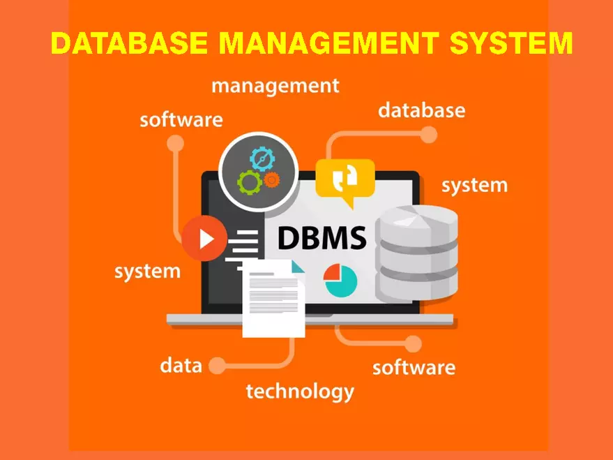 Database Management System - Page 1