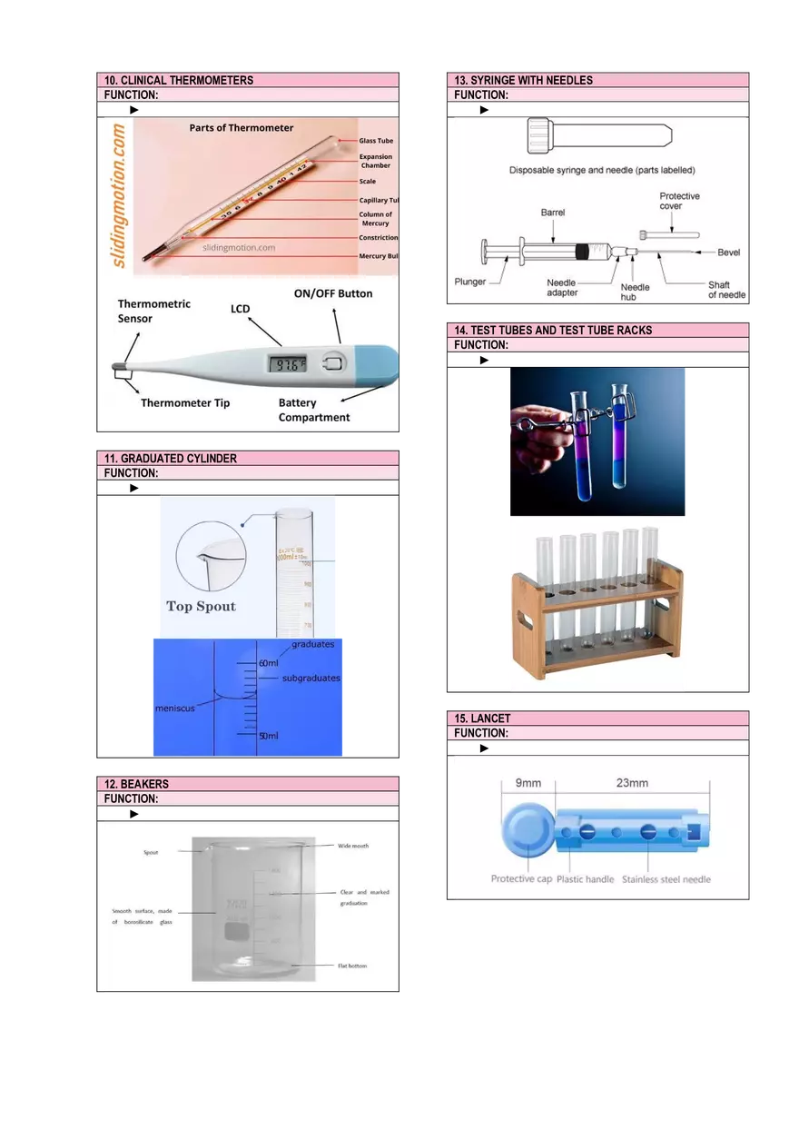 Anatomy & Physiology Lab - Prelims - Page 8