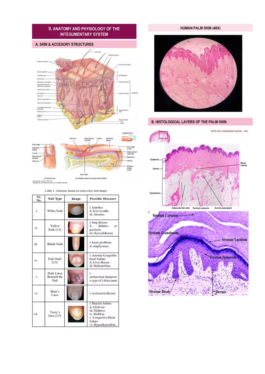 Anatomy & Physiology Lab - Prelims - Page 10