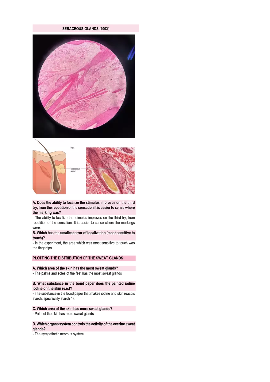 Anatomy & Physiology Lab - Prelims - Page 13