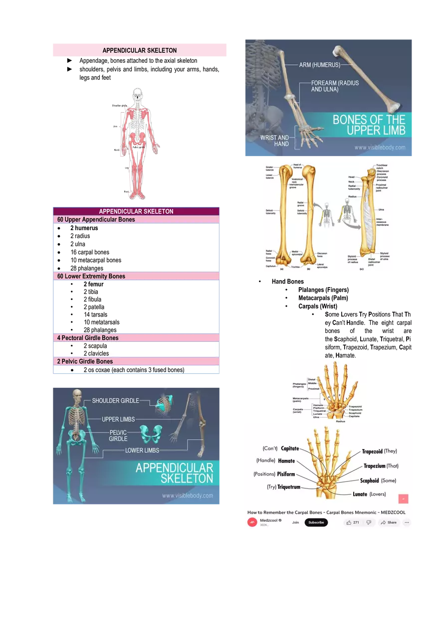 Anatomy & Physiology Lab - Prelims - Page 3