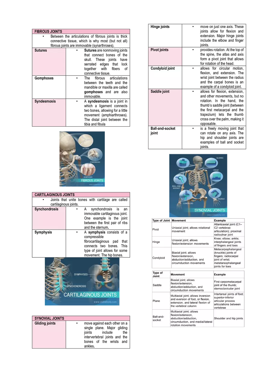 Anatomy & Physiology Lab - Prelims - Page 6