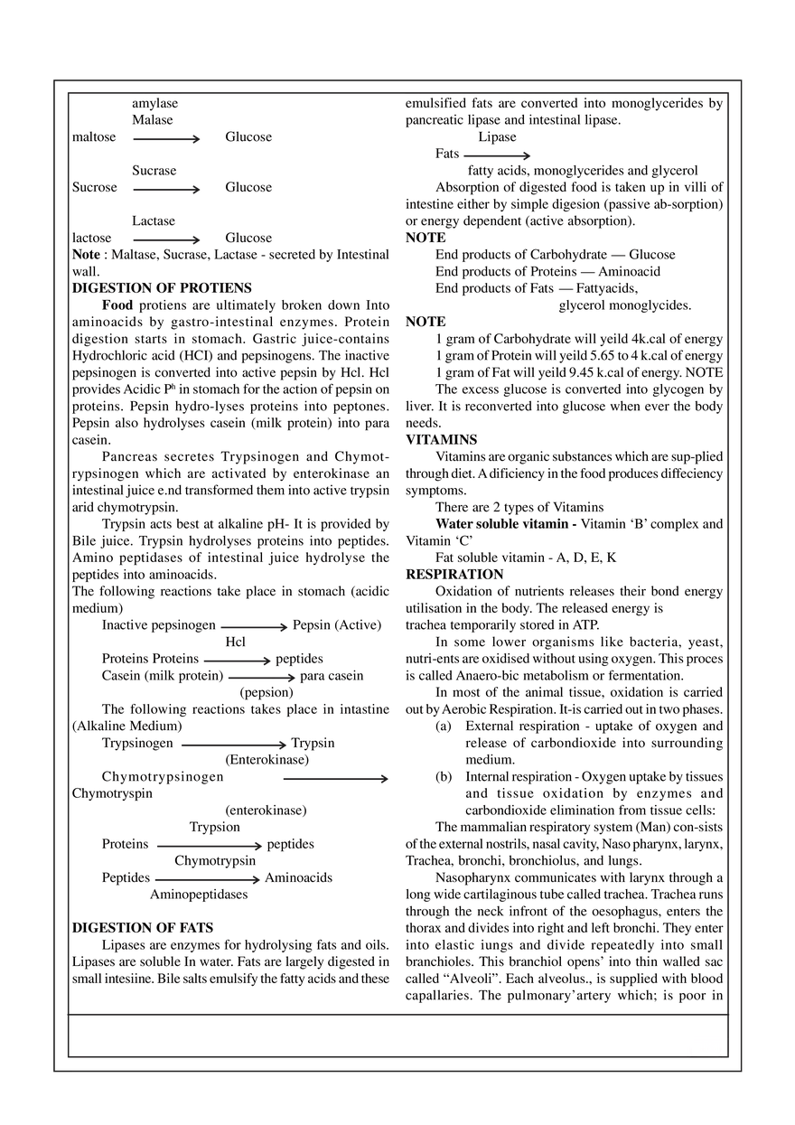 7. Animal Physiology - Page 2