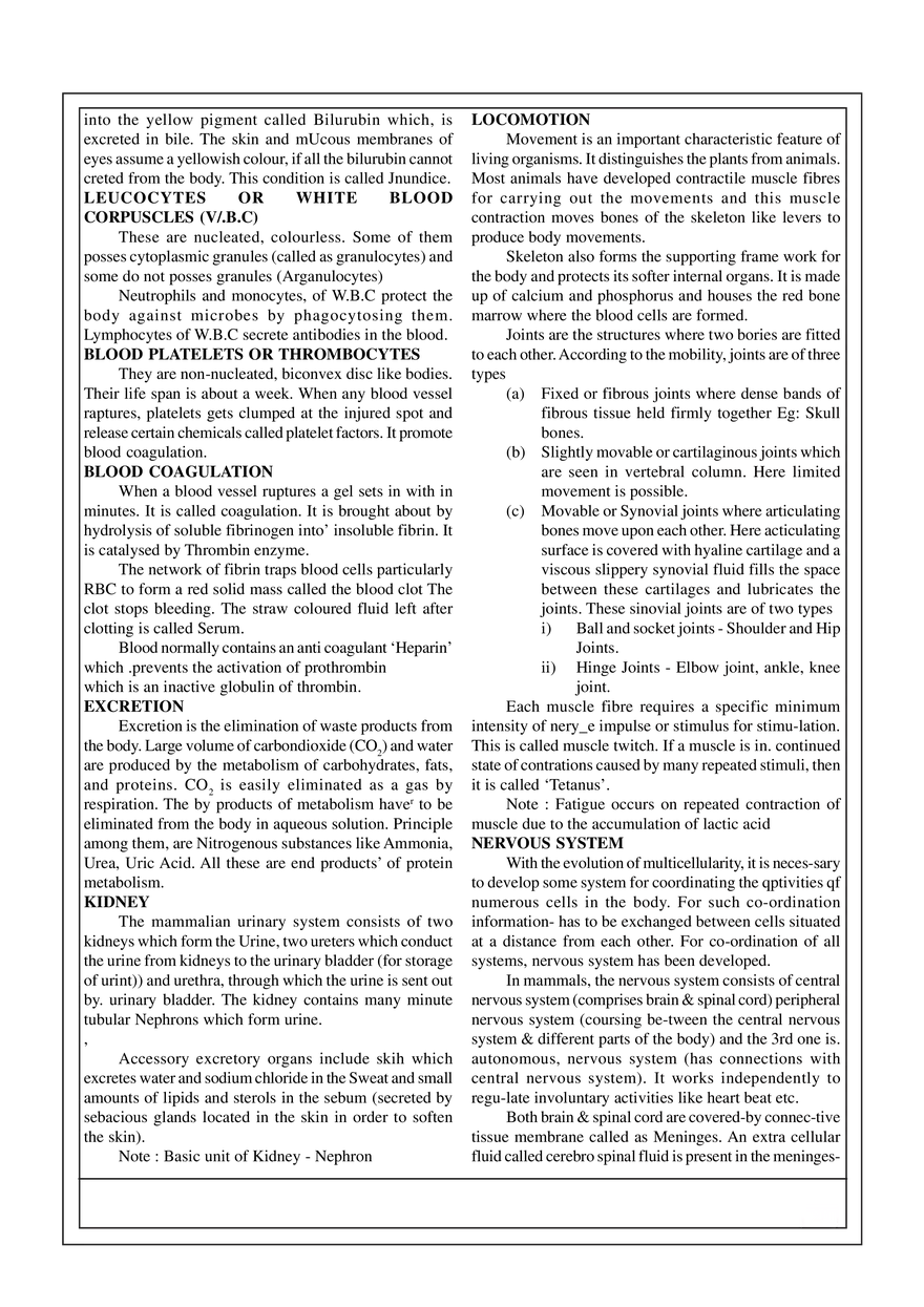 7. Animal Physiology - Page 4