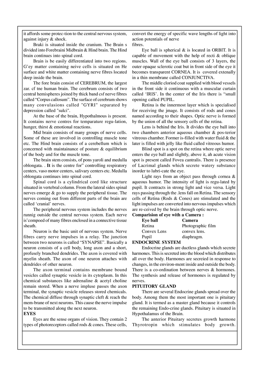 7. Animal Physiology - Page 5