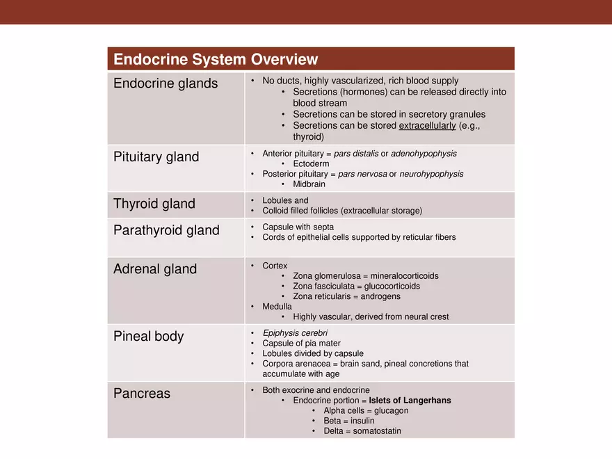 Endocrine System Part 1 - Page 13