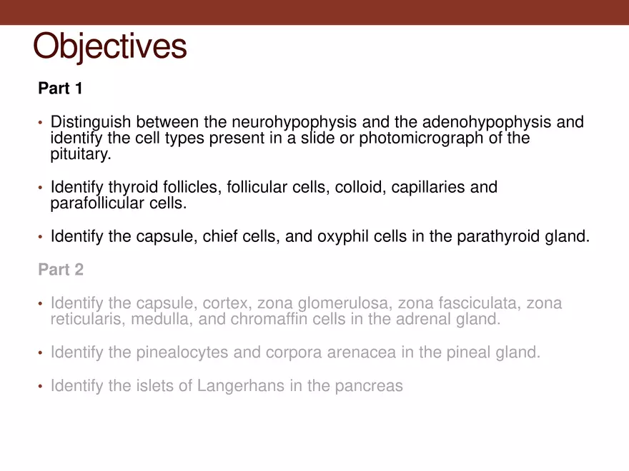 Endocrine System Part 1 - Page 2