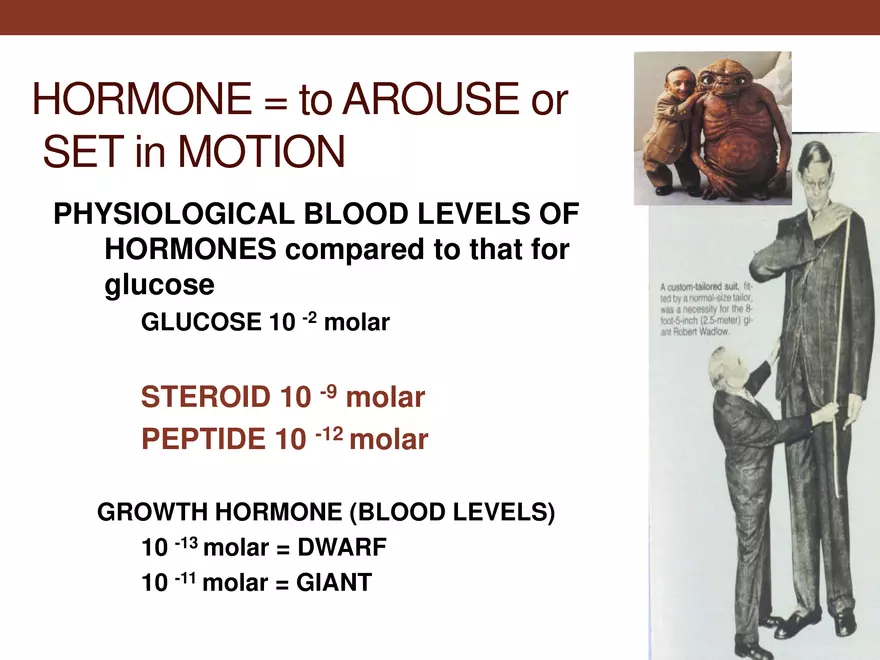 Endocrine System Part 1 - Page 6