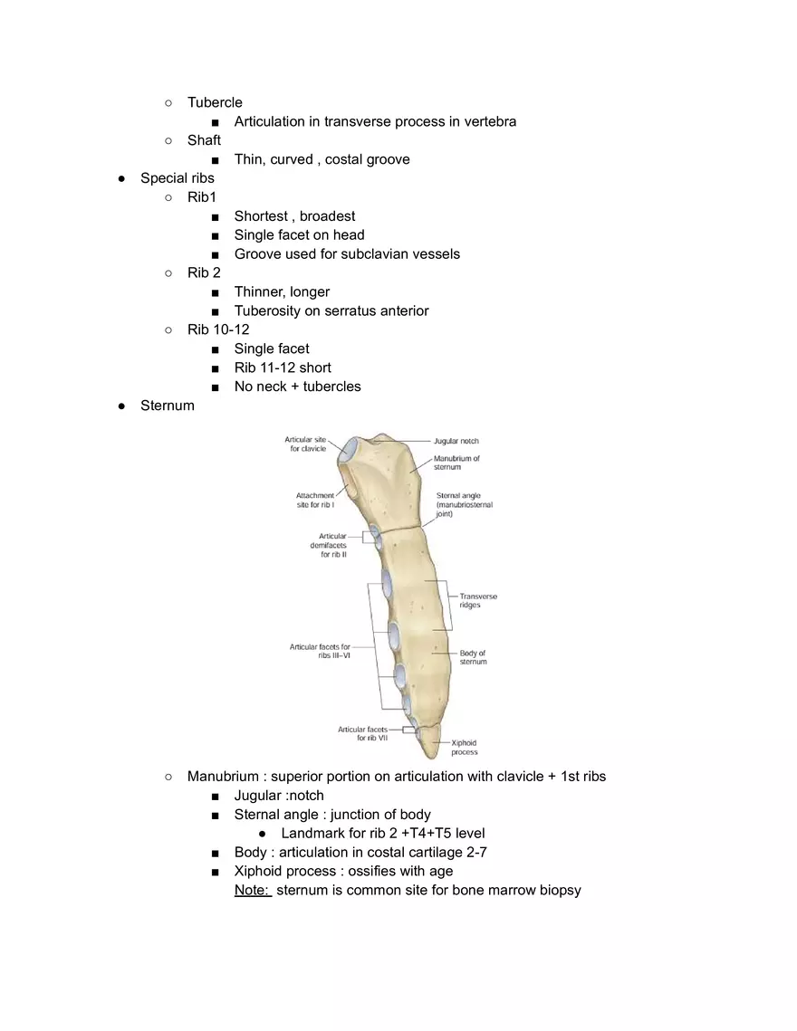 Thoracic Cage - Page 2