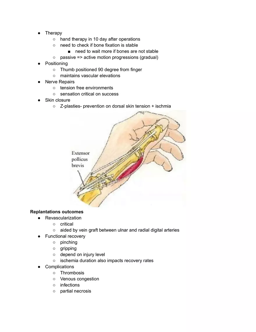 Extensor Laceration Repairs - Page 2