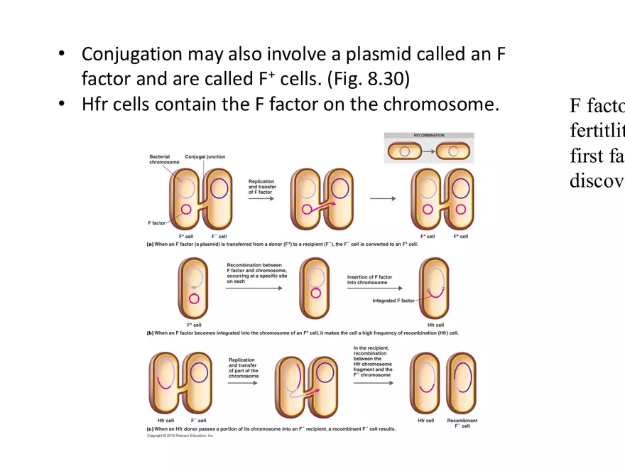 Microbial Genetics Structure and Function of the Genetic Material - Page 11