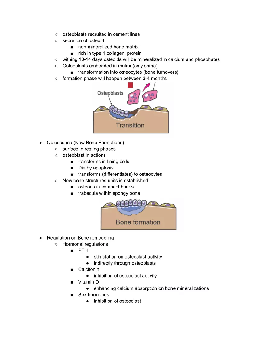 Bone Remodeling Tutorial Notes - Page 2