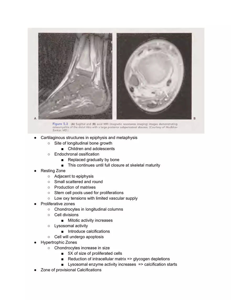 Growthplate Fractures - Page 1