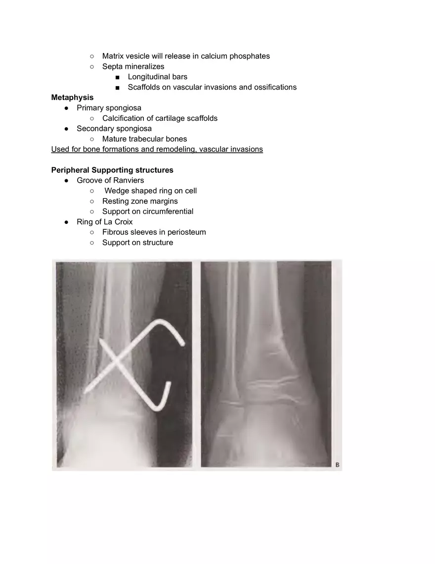 Growthplate Fractures - Page 2