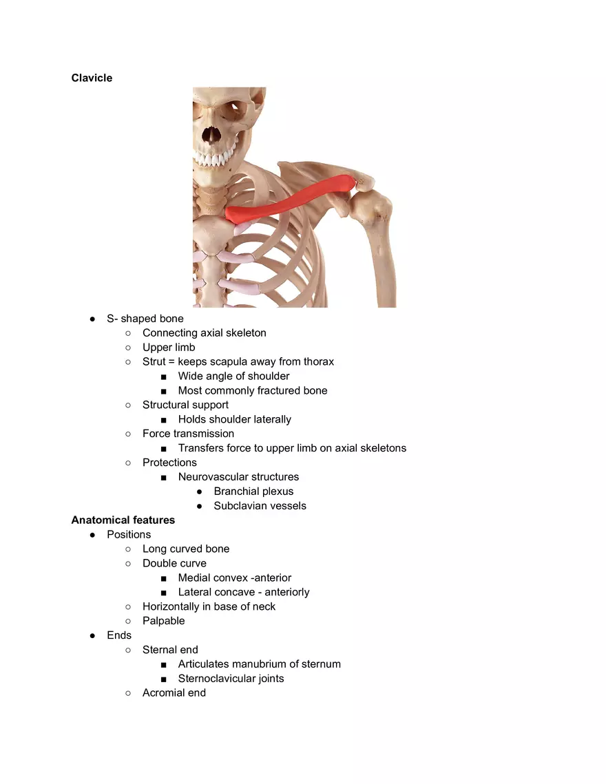 Clavicle Lecture Case Study Prep - Page 1