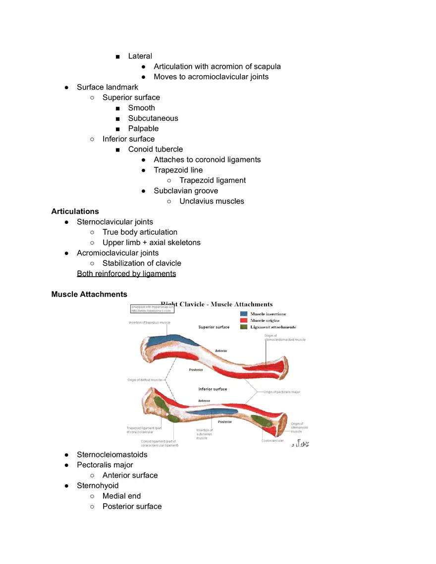 Clavicle Lecture Case Study Prep - Page 2