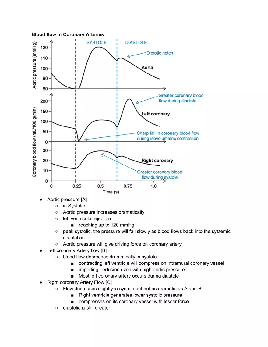 Blood Flow Lecture Note - Page 1