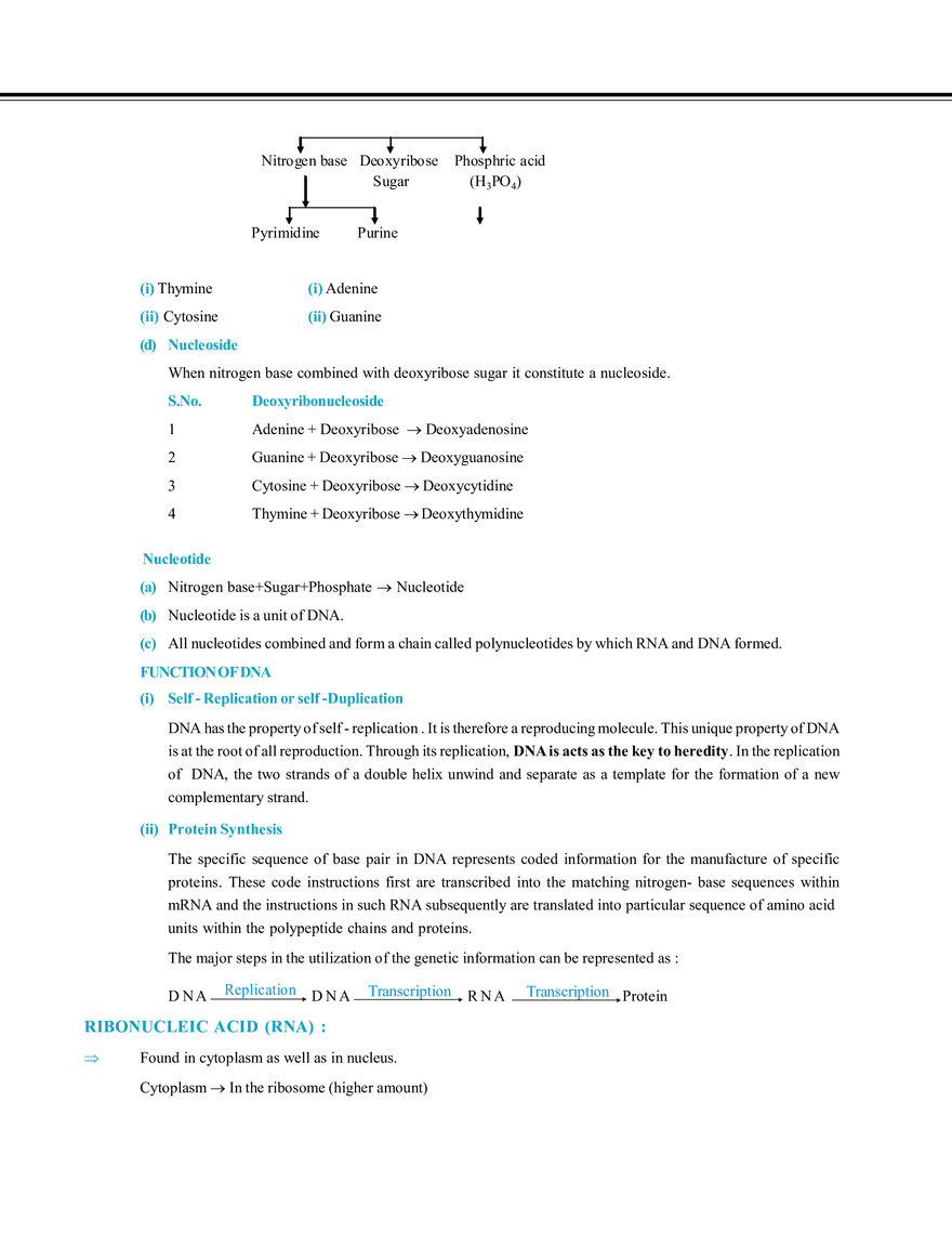 Biomolecules & Polymers Nucleic Acid - Page 3