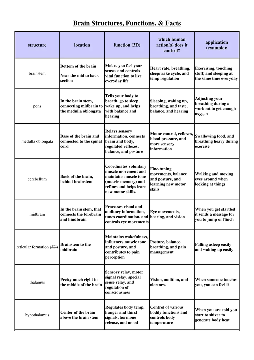 Brain Structures, Functions, & Facts - Page 1