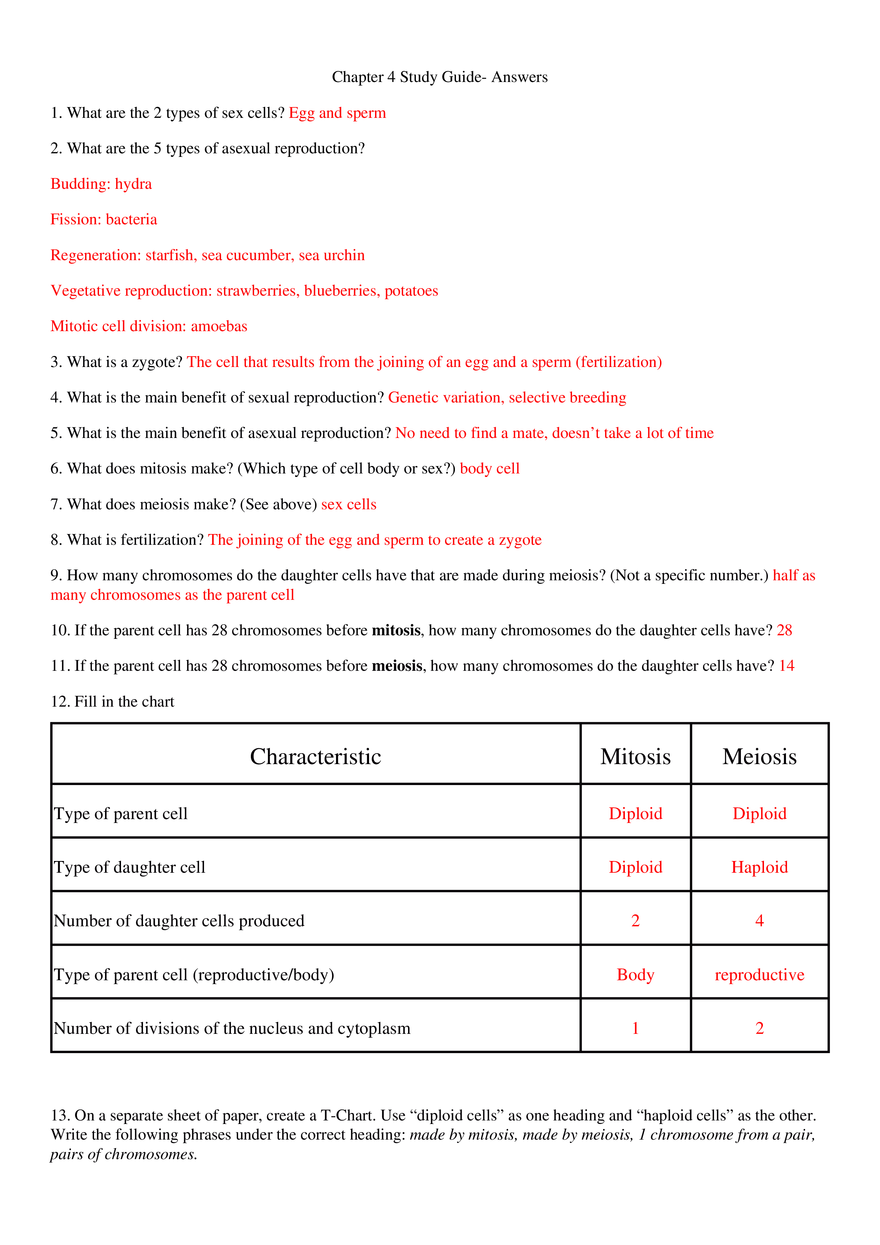 Chapter 4 Study Guide - Answers - Page 1