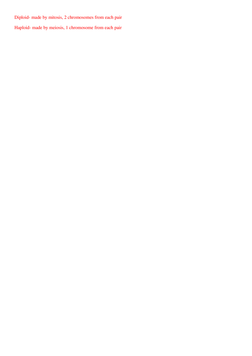 Chapter 4 Study Guide - Answers - Page 2