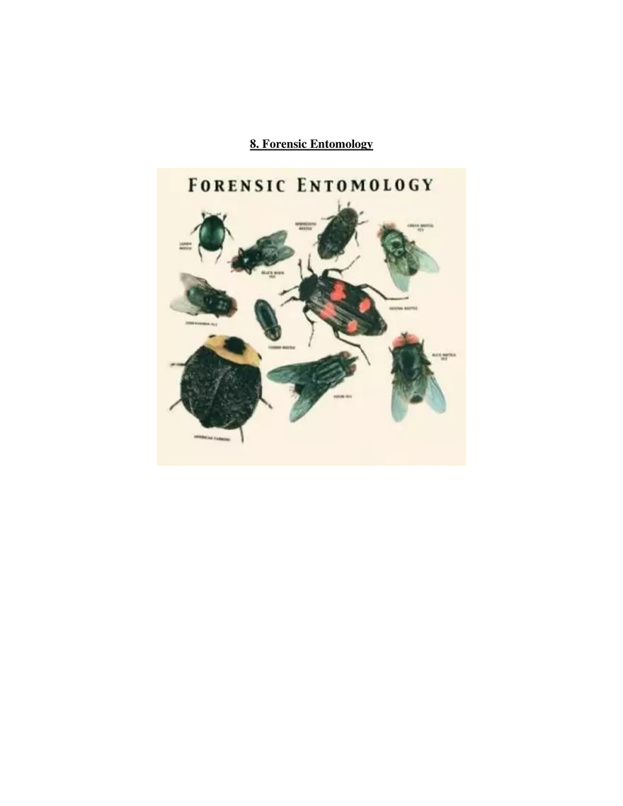 8. Forensic Entomology - Page 1